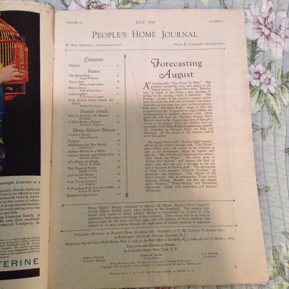 ORIGINAL People's Home Journal, July 1929 1920s '20s Magazine - Picture 4 of 4